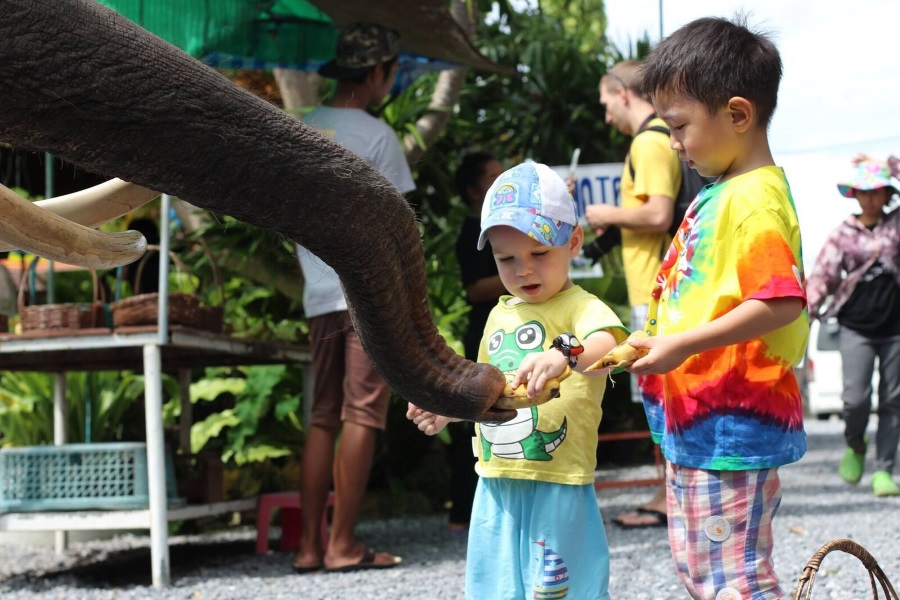 Elephant trekking, Koh Samui, Thailand