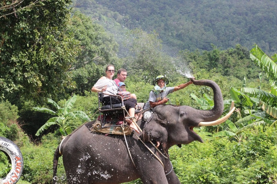 Elephant trekking, Koh Samui, Thailand