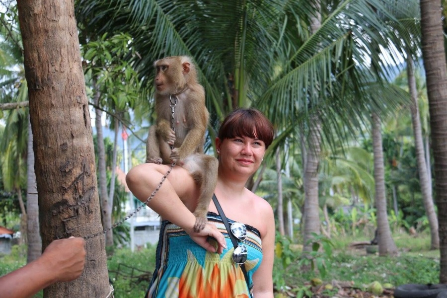 Elephant trekking, Koh Samui, Thailand