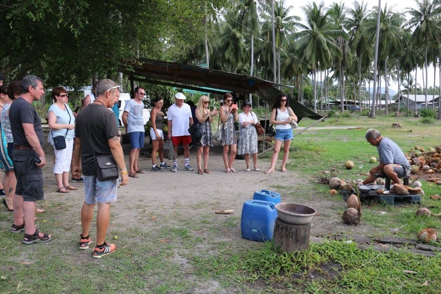 Elephant trekking, Koh Samui, Thailand