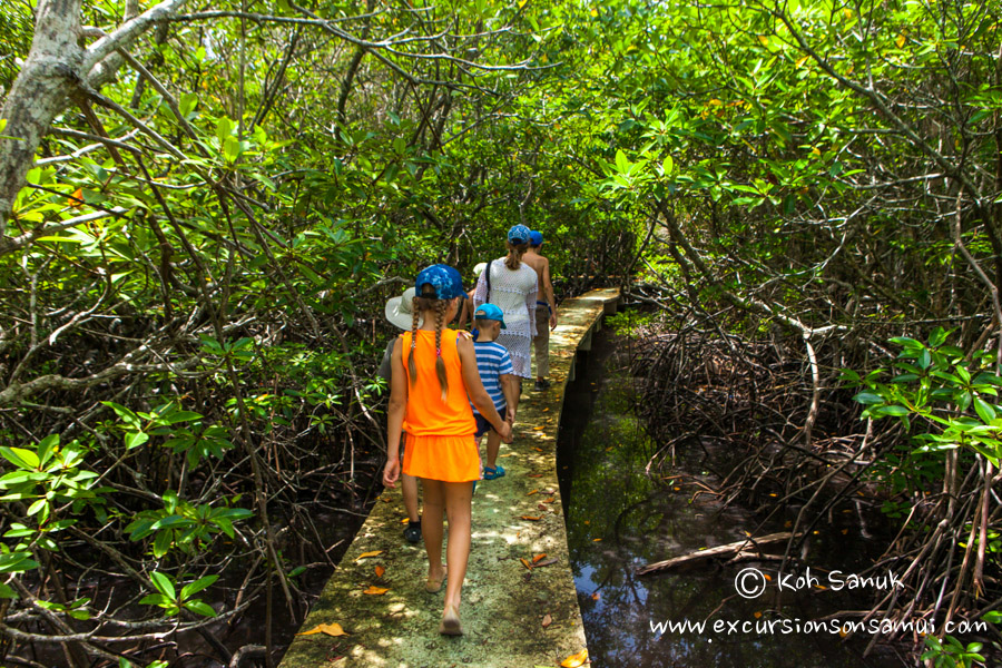 Quest game “Escape the island”, Koh Samui, Thailand