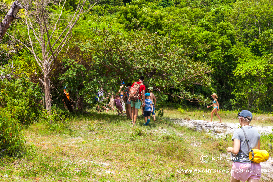Quest game “Escape the island”, Koh Samui, Thailand