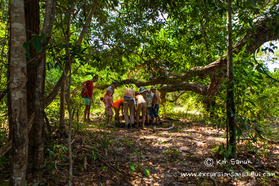 Quest game “Escape the island”, Koh Samui, Thailand