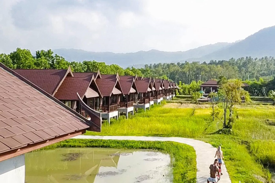 Thai farmer, Koh Samui, Thailand