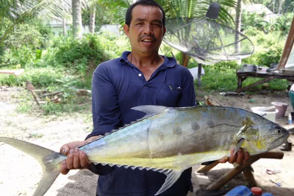 Big fishing game and cruises from Koh Phangan, Koh Samui, Thailand