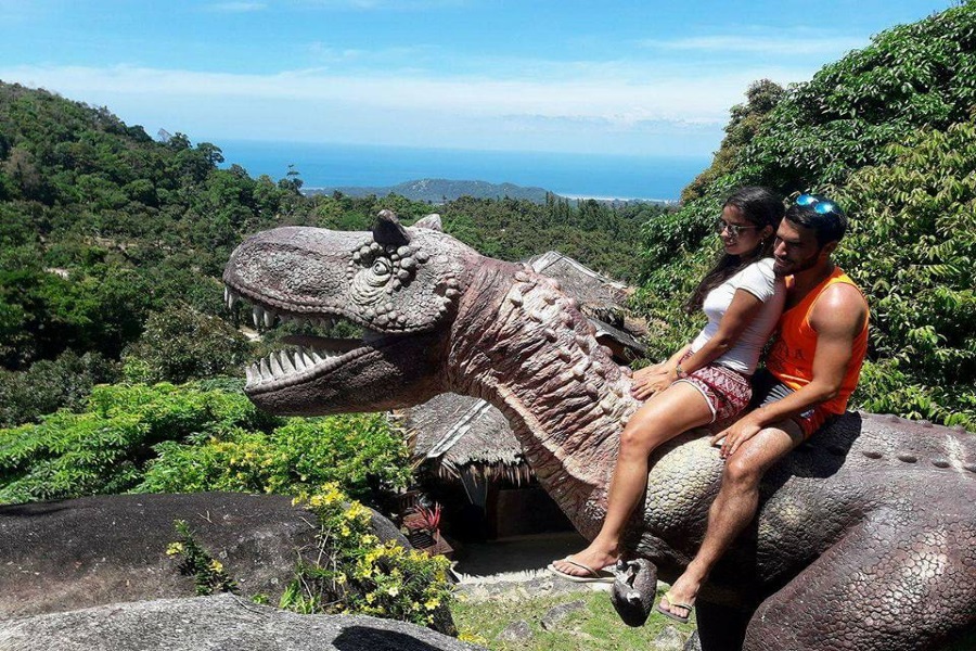 Full day jeep safari without animals in captivity, Koh Samui, Thailand