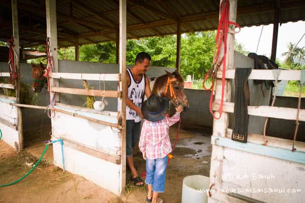 Beach and Jungle Horseback Riding, Koh Samui, Thailand