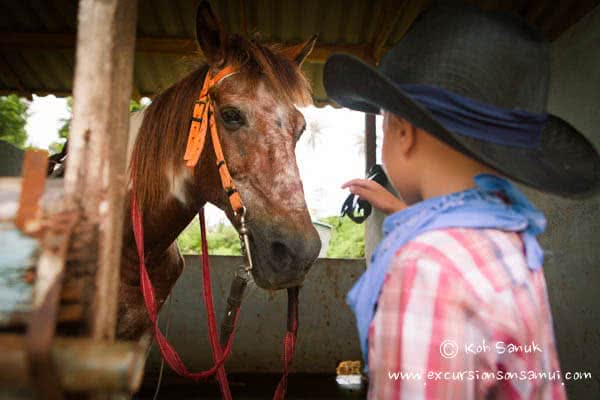 Beach and Jungle Horseback Riding, Koh Samui, Thailand