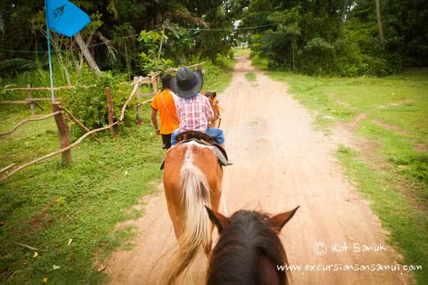 Beach and Jungle Horseback Riding, Koh Samui, Thailand