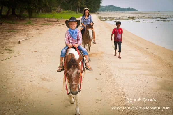 Beach and Jungle Horseback Riding, Koh Samui, Thailand