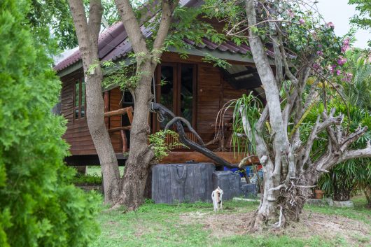 Angthong beach resort, Koh Paluay