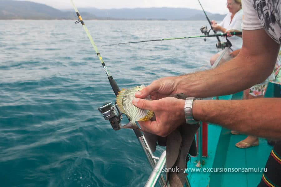 Big fishing game, Koh Samui, Thailand