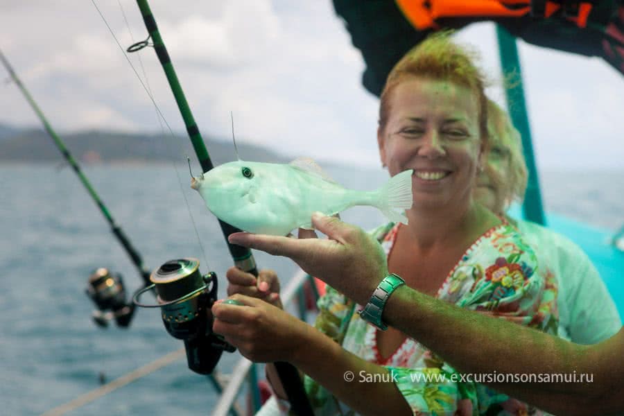 Big fishing game, Koh Samui, Thailand