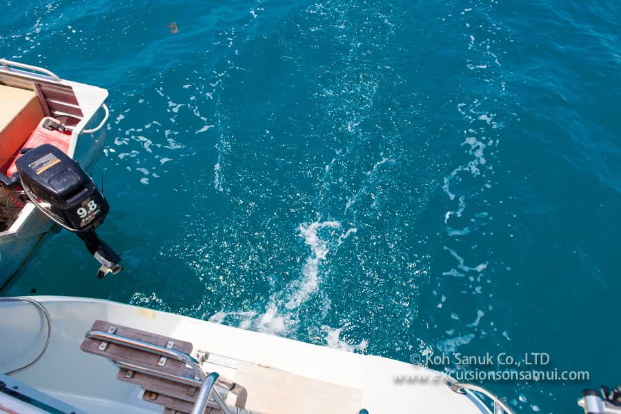 Overnight cruises from Koh Samui by catamaran Nautiness II, Koh Samui, Thailand