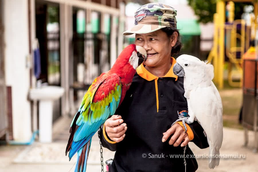 Paradise Park Farm, Koh Samui, Thailand