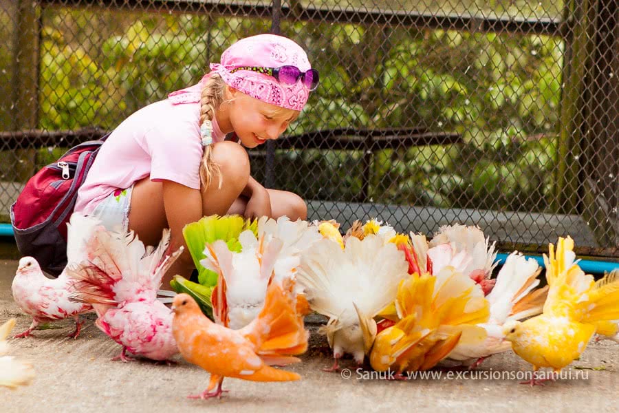 Paradise Park Farm, Koh Samui, Thailand