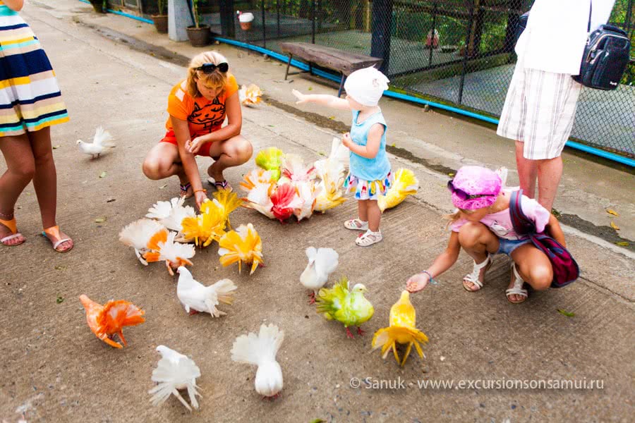 Paradise Park Farm, Koh Samui, Thailand