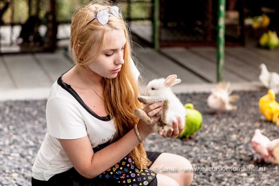 Paradise Park Farm, Koh Samui, Thailand