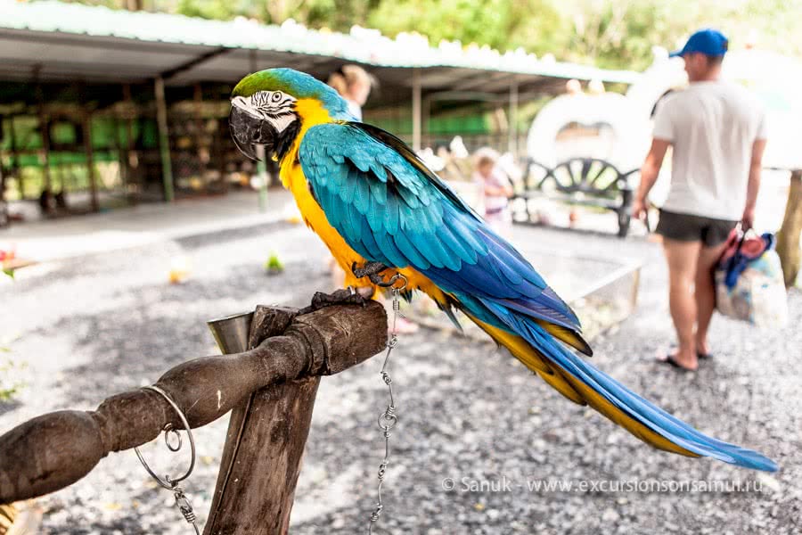 Paradise Park Farm, Koh Samui, Thailand