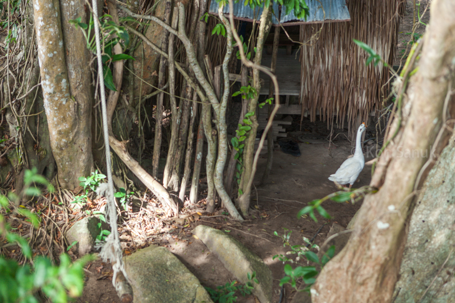 Jeep Safari around Koh Phangan, Koh Samui, Thailand