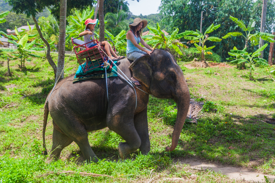 Jeep Safari around Koh Phangan, Koh Samui, Thailand