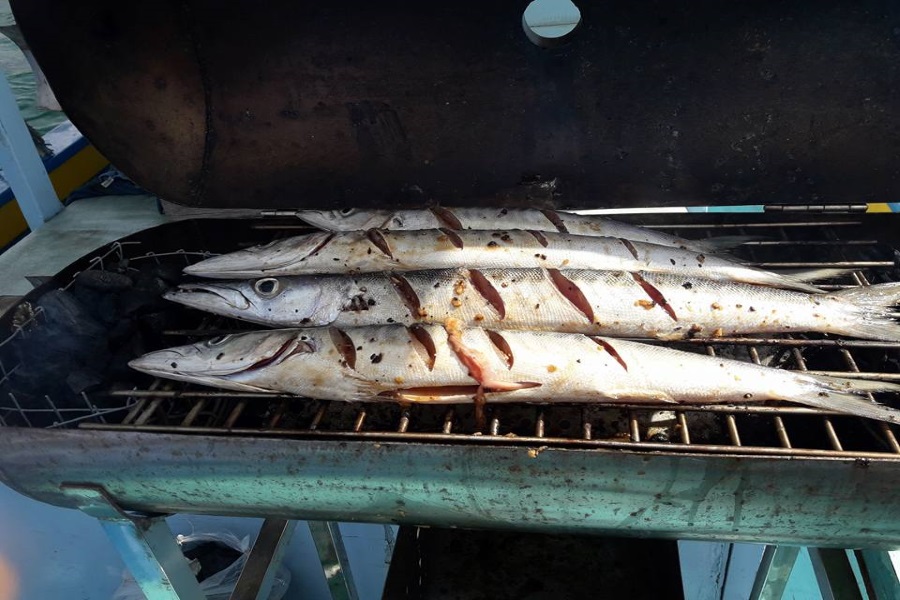 Cruises and fishing trips by fishing boat from Koh Phangan, Koh Samui, Thailand