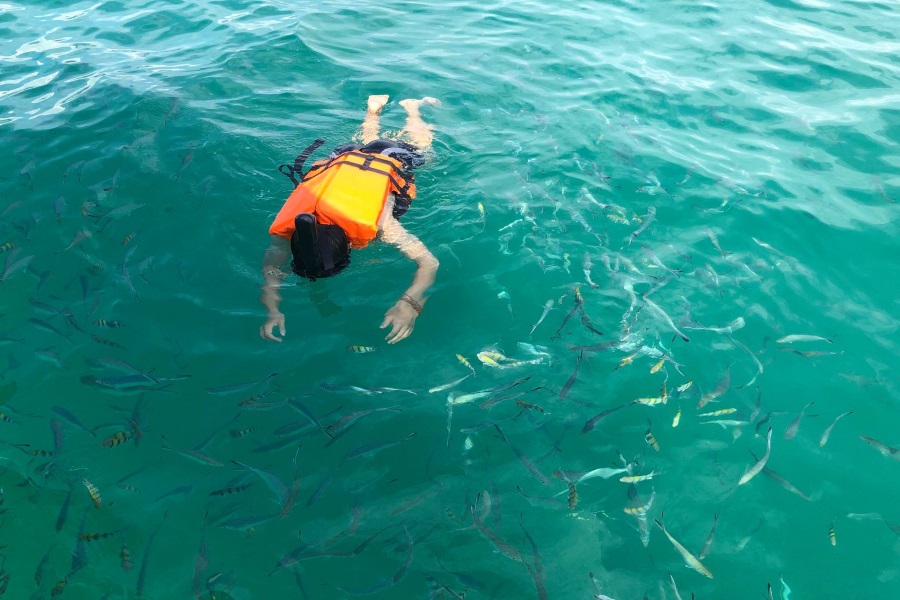 Cruises and fishing from the south of Koh Samui by Pontoon boat, Koh Samui, Thailand