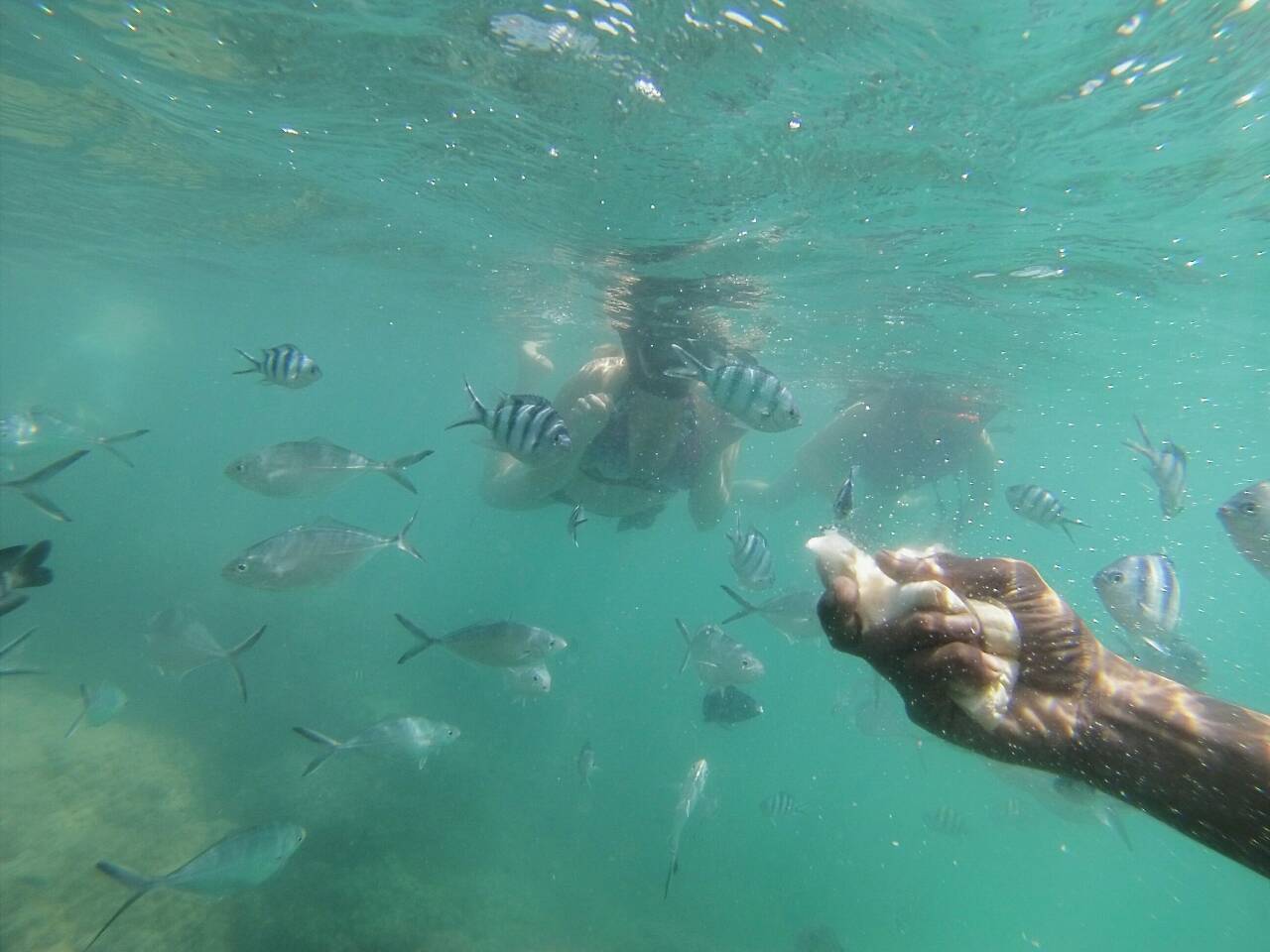Private cruises and fishing to Koh Tan, Koh Madsum by longtail boat from Samui south, Koh Samui, Thailand