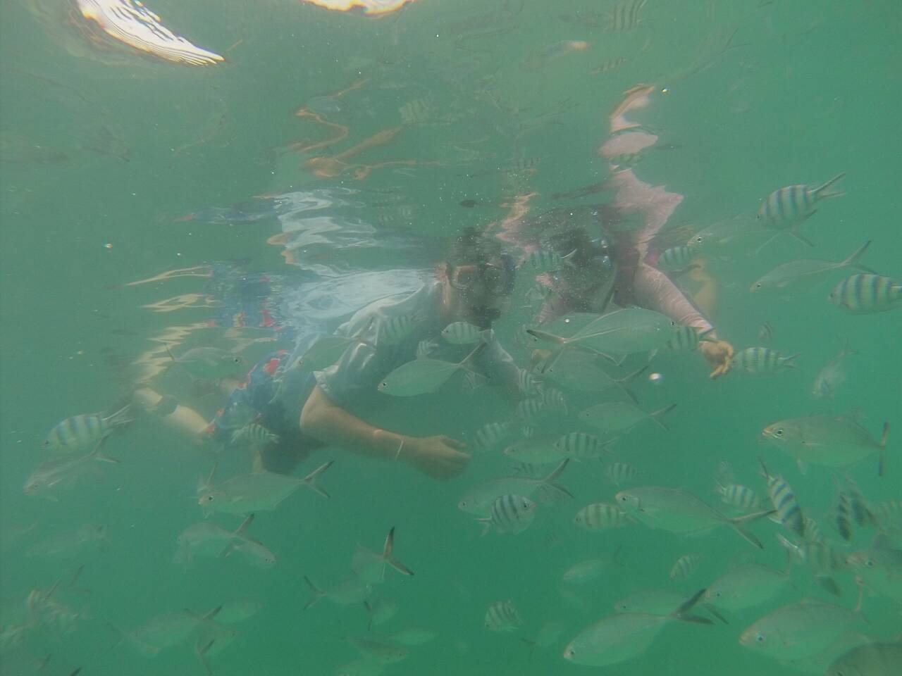 Private cruises and fishing to Koh Tan, Koh Madsum by longtail boat from Samui south, Koh Samui, Thailand