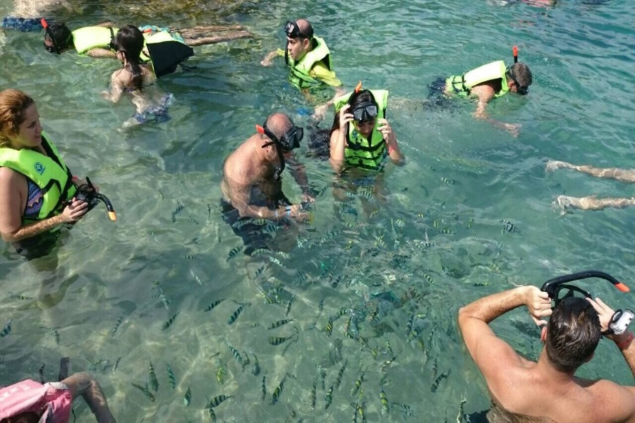 Day tour from Koh Samui to Koh Tao or Angthong marine park by Royal Express, Koh Samui, Thailand