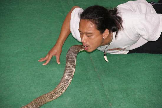 Snake Farm, Koh Samui, Thailand
