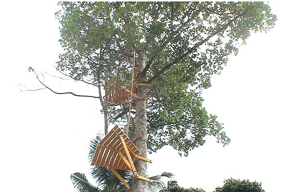 Cable Ride, Koh Samui, Thailand