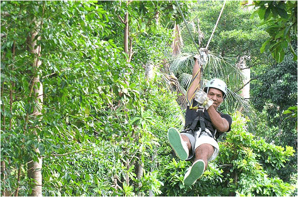 Cable Ride, Koh Samui, Thailand