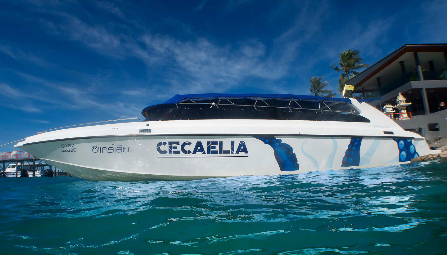 Speedboat “Cecaelia”, Koh Samui, Thailand