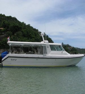 Speedboat Sting, Koh Samui