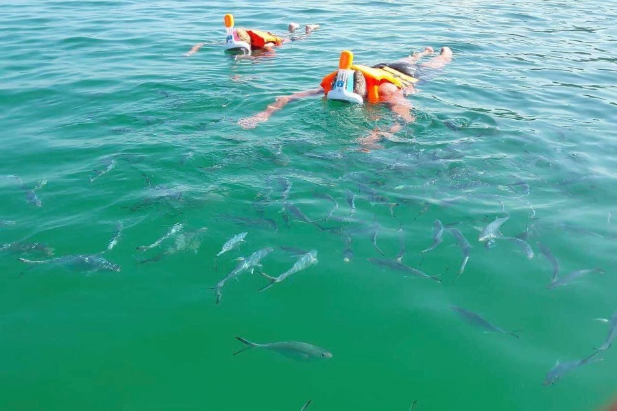 Cruises by Stingrey speedboat from the south of Koh Samui, Koh Samui, Thailand