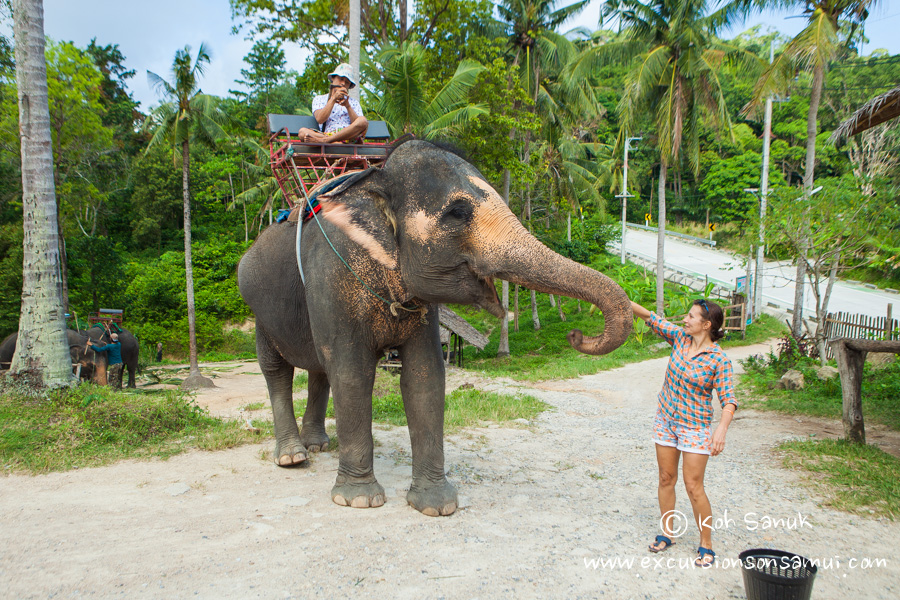City tour around Koh Phangan by songthaew, Koh Samui, Thailand