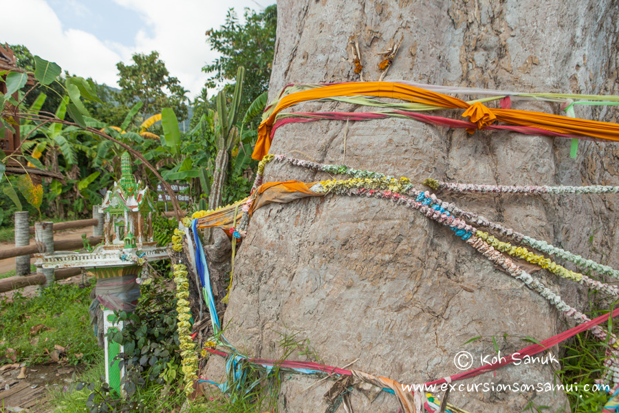 City tour around Koh Phangan by songthaew, Koh Samui, Thailand