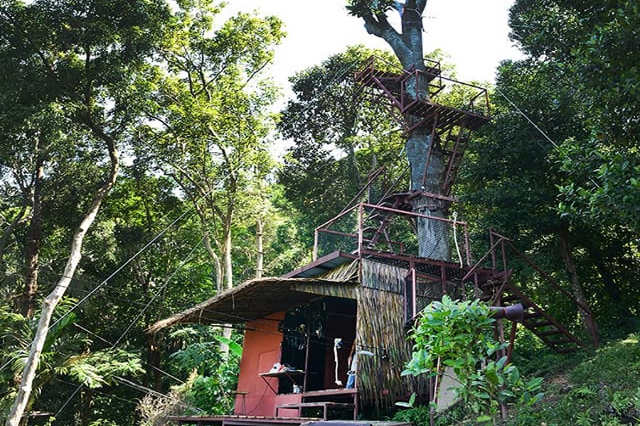 Tree bridge cafe and Zip line, Koh Samui, Thailand