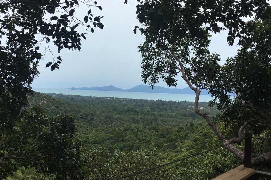 Tree bridge cafe and Zip line, Koh Samui, Thailand