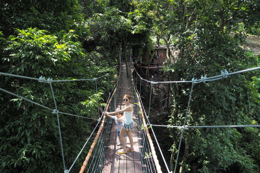 Tree bridge cafe and Zip line, Koh Samui, Thailand