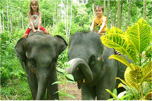 Half day jeep safari, Koh Samui, Thailand