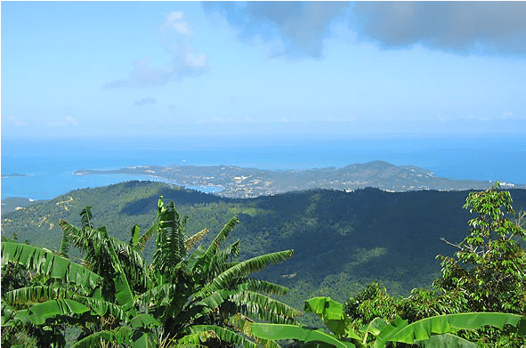 Half day jeep safari, Koh Samui, Thailand