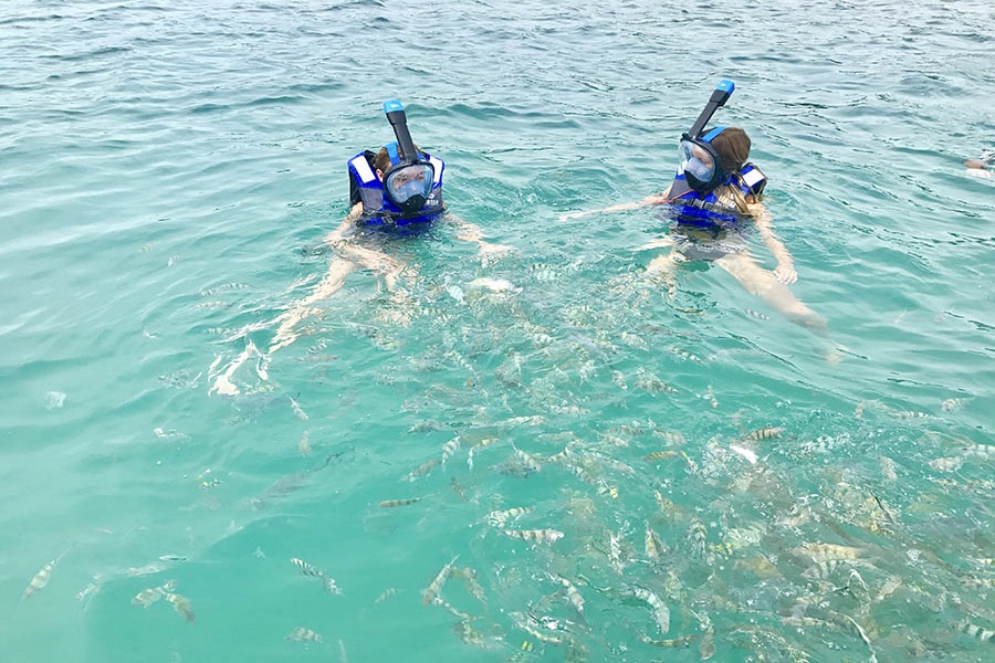 Romantic speedboat cruise with dinner on the beach, Koh Samui, Thailand